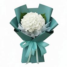 Букет цветов из:  Гортензия в Калининауле